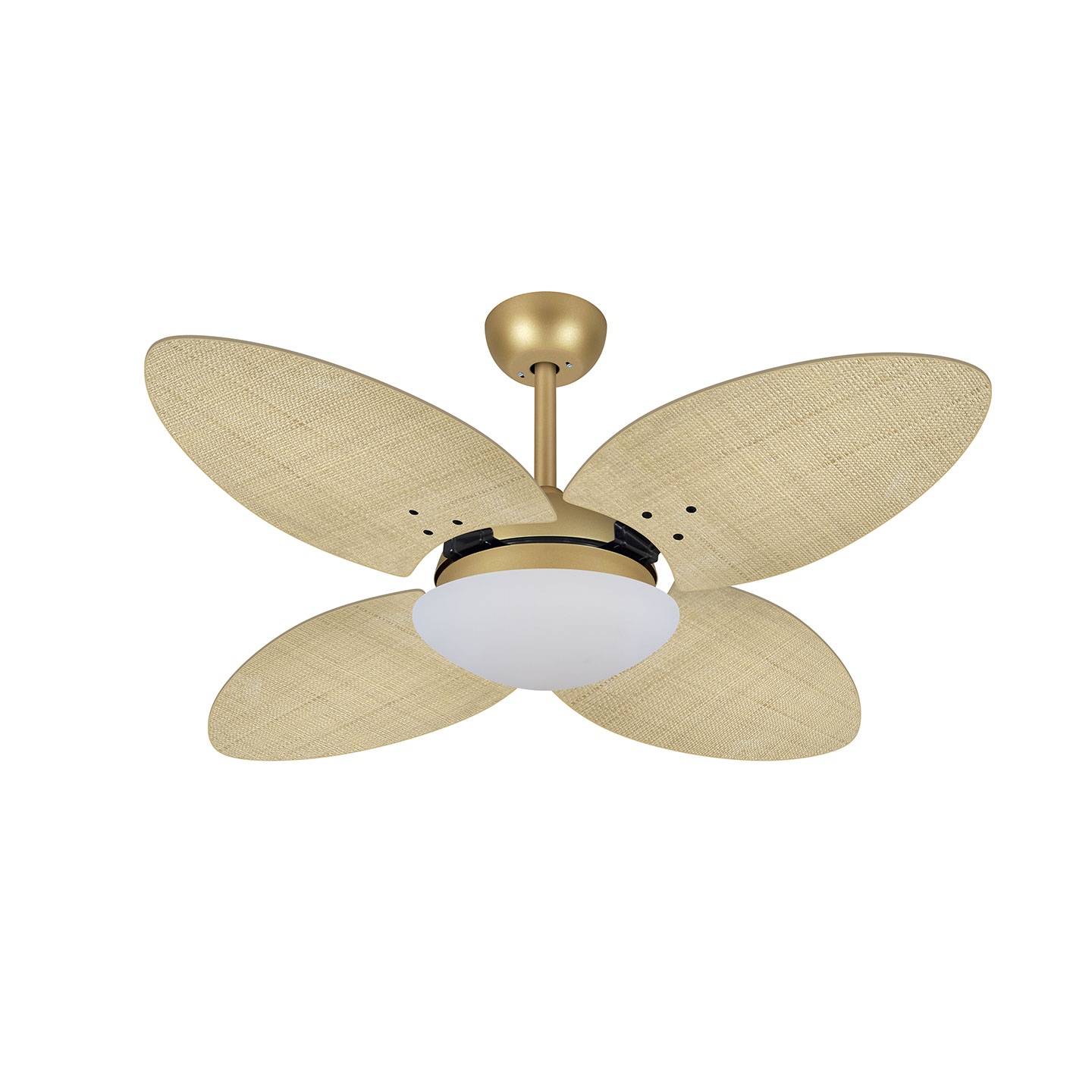 9003 VOLARE VD28 TAMI DOURADO MATE / PALMAE NATURAL