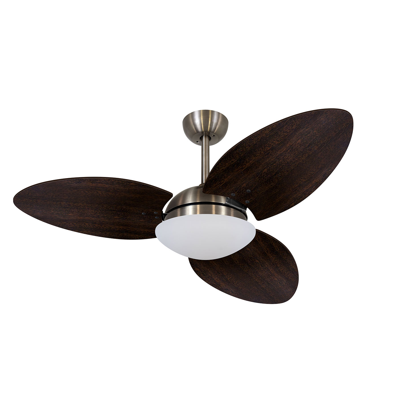 9011 VOLARE VD28 TAMI S3 BRONZE / LACA TABACO