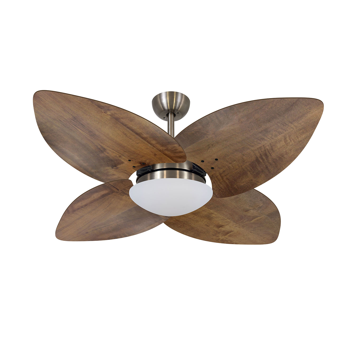 9013 VOLARE VD28 DUNAMIS BRONZE / RÁDICA IMBUIA
