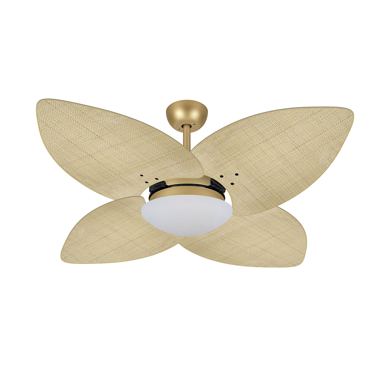 9015 VOLARE VD28 DUNAMIS DOURADO MATE / PALMAE NATURAL