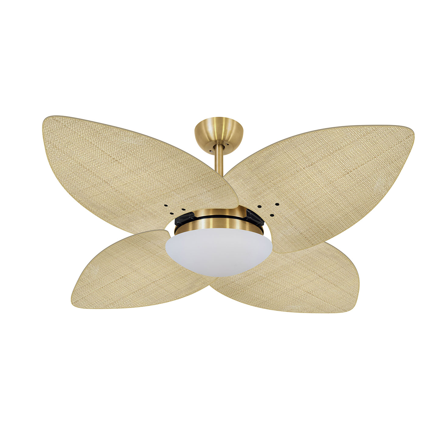 9015 VOLARE VD28 DUNAMIS DOURADO / PALMAE NATURAL