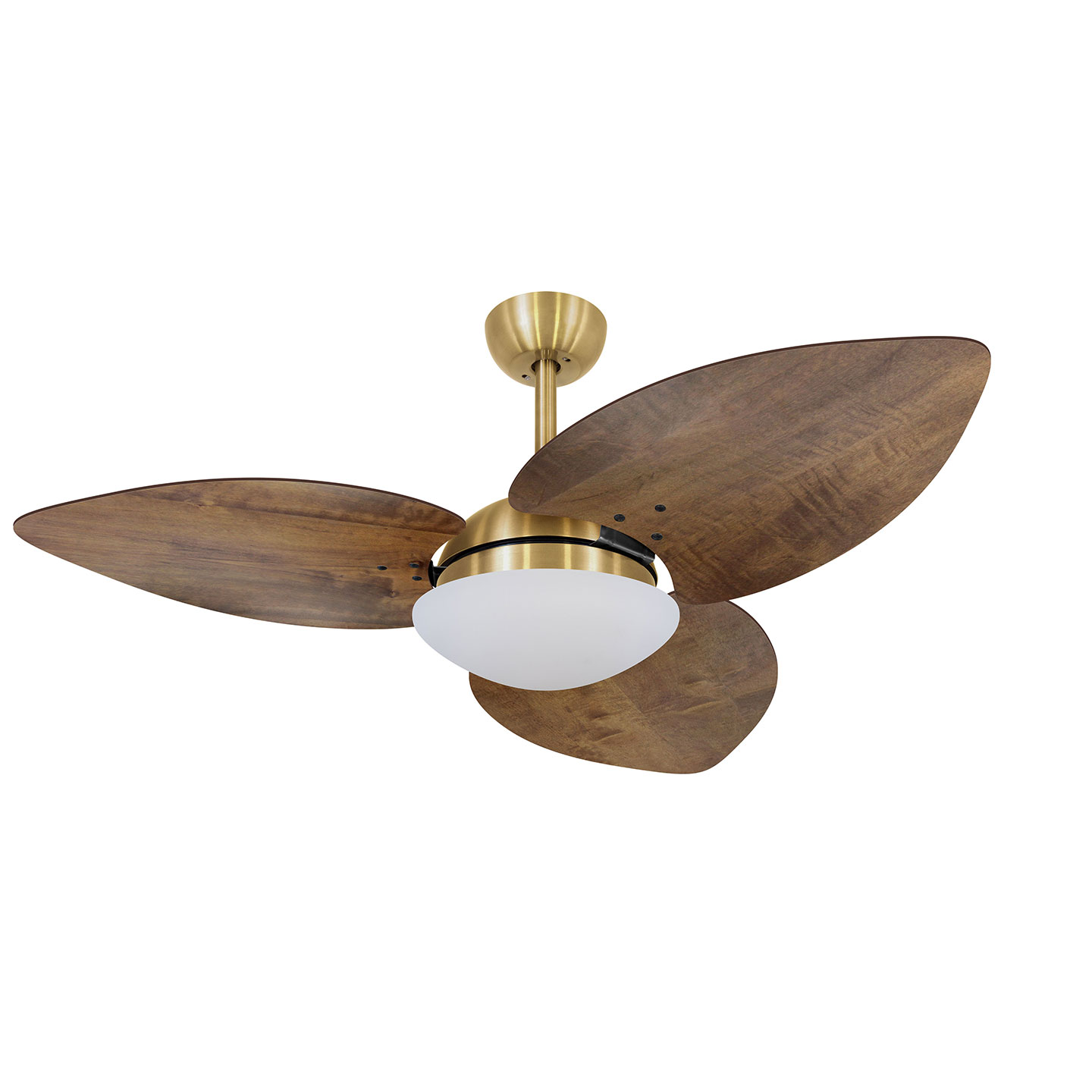 9019 VOLARE VD28 DUNAMIS S3 DOURADO / RÁDICA IMBUIA