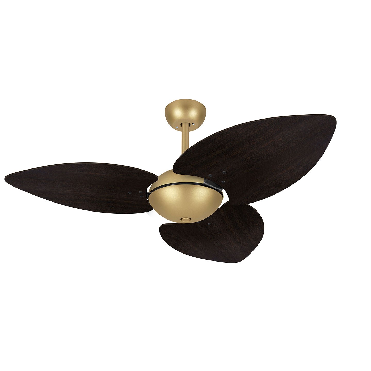 9024 VOLARE OFFICE DUNAMIS S3 DOURADO MATE / LACA TABACO