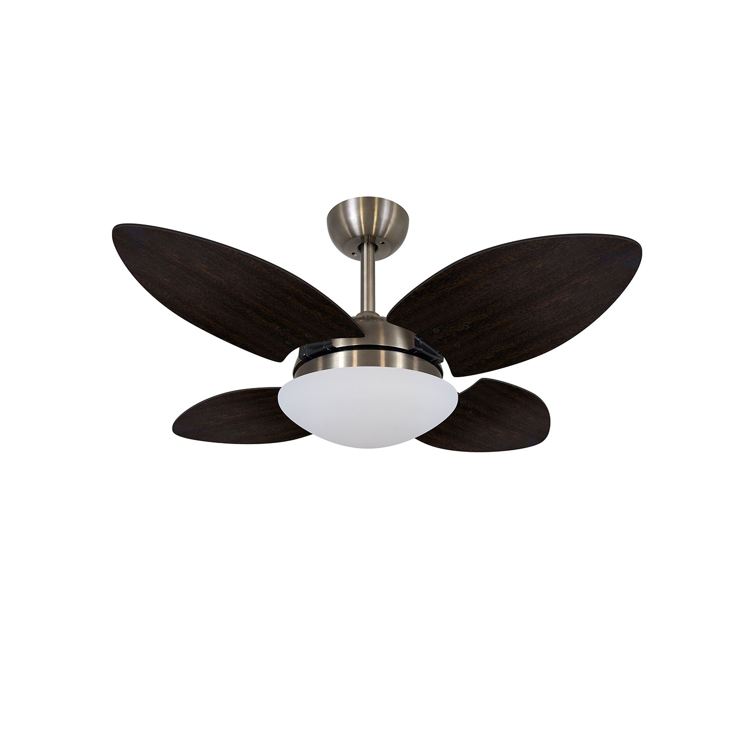 9026 VOLARE VD28 MINI PÉTALO BRONZE / LACA TABACO