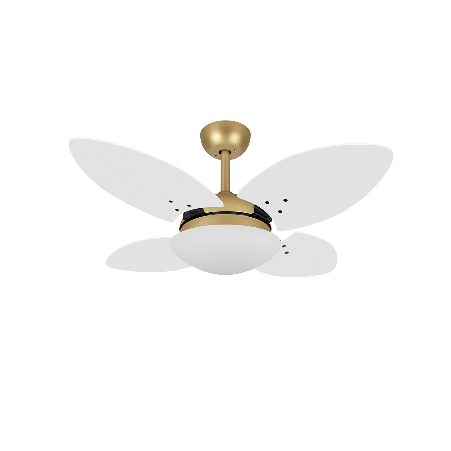 9026 VOLARE VD28 MINI PÉTALO DOURADO MATE / LACA BRANCA