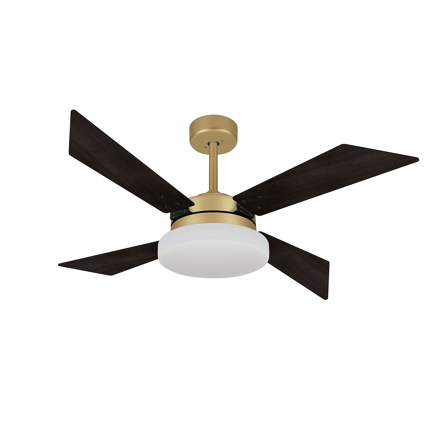 9027 VOLARE VD50 TECH DOURADO MATE / LACA TABACO