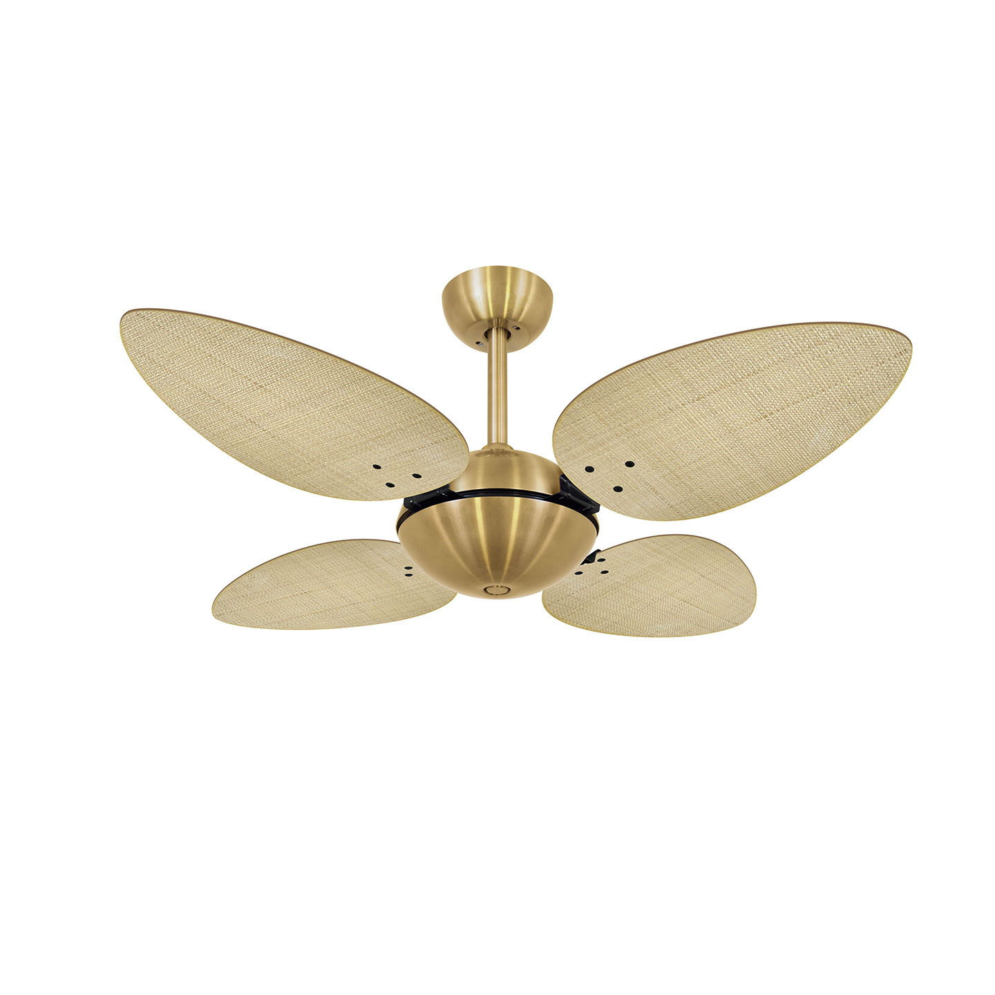 9031 VOLARE OFFICE PÉTALO DOURADO / PALMAE NATURAL