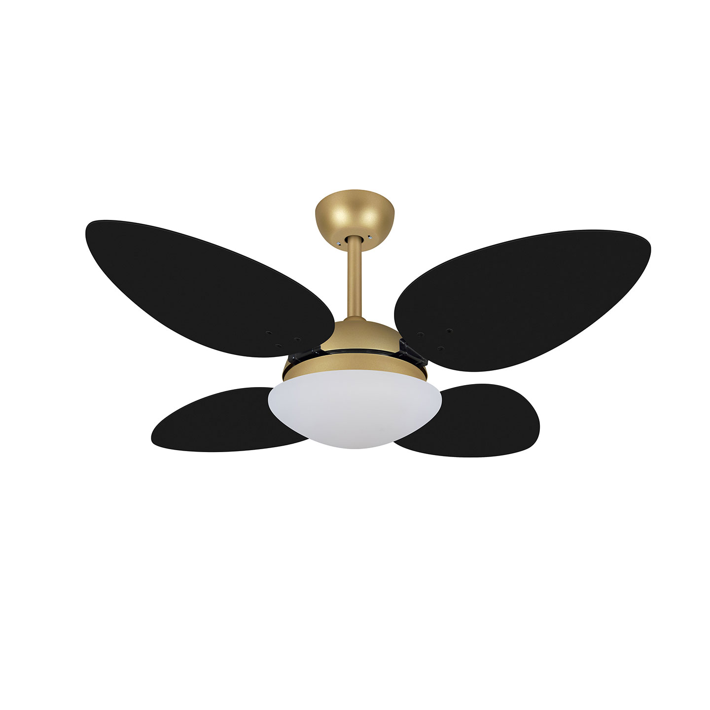 9032 VOLARE VD28 PÉTALO DOURADO MATE / LACA PRETA