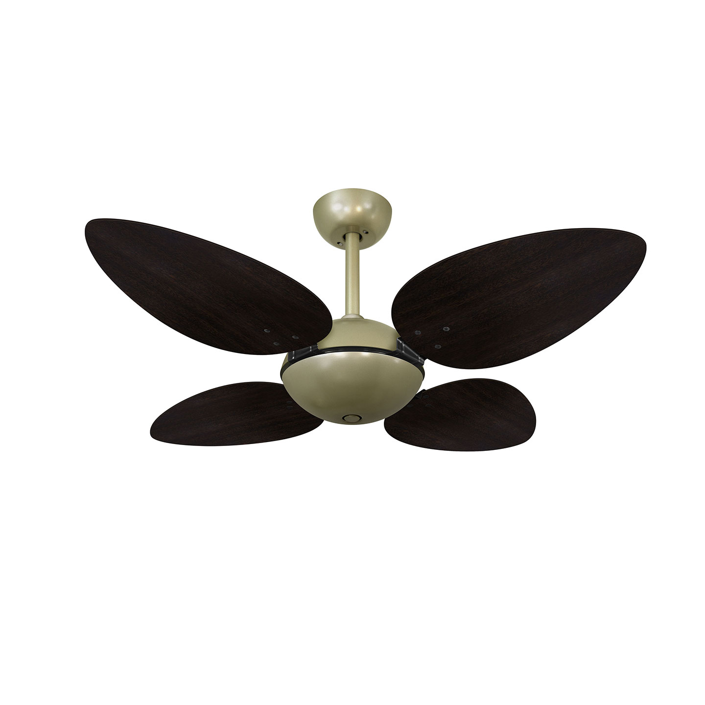 9033 VOLARE OFFICE PÉTALO GOLD / LACA TABACO