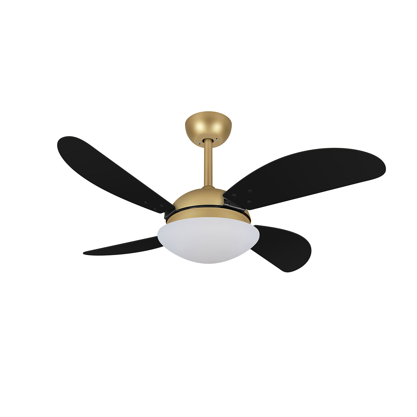 9040 VOLARE VD28 FLY DOURADO MATE / LACA PRETA
