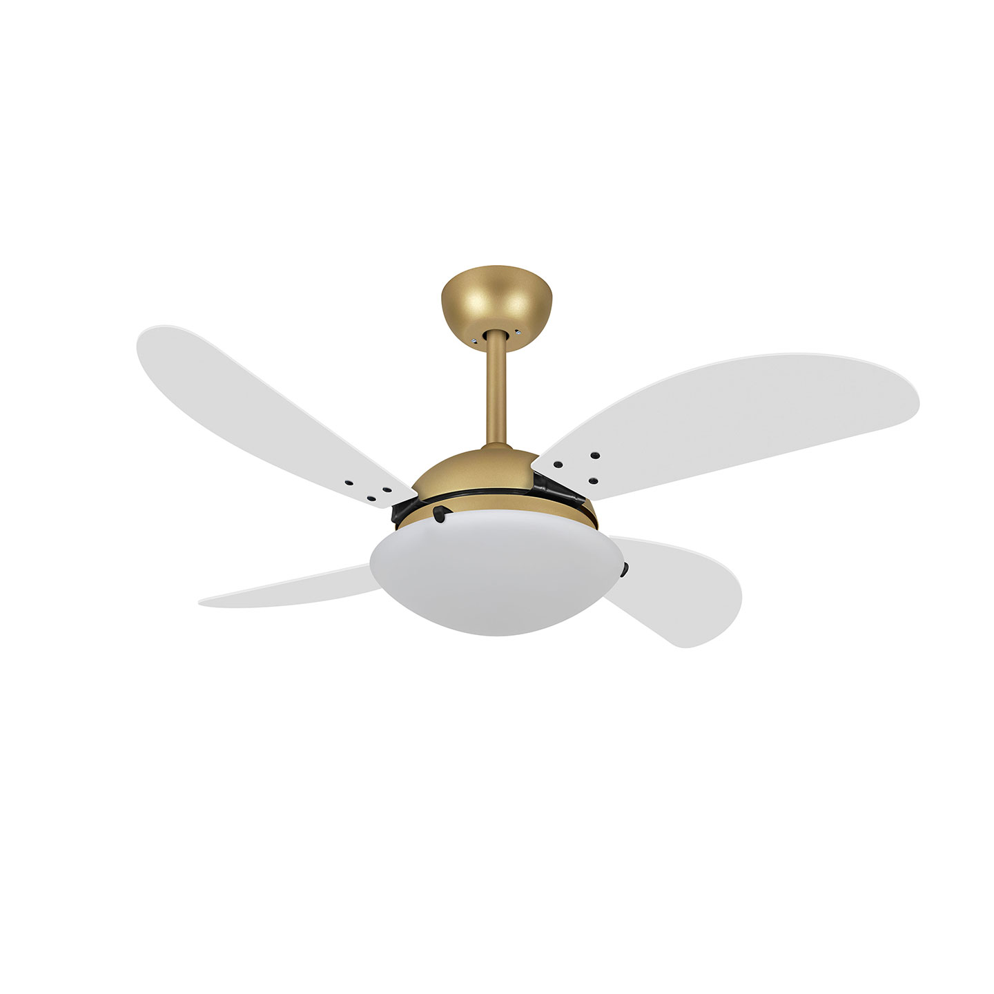 9041 VOLARE VD300 FLY DOURADO MATE / LACA BRANCA