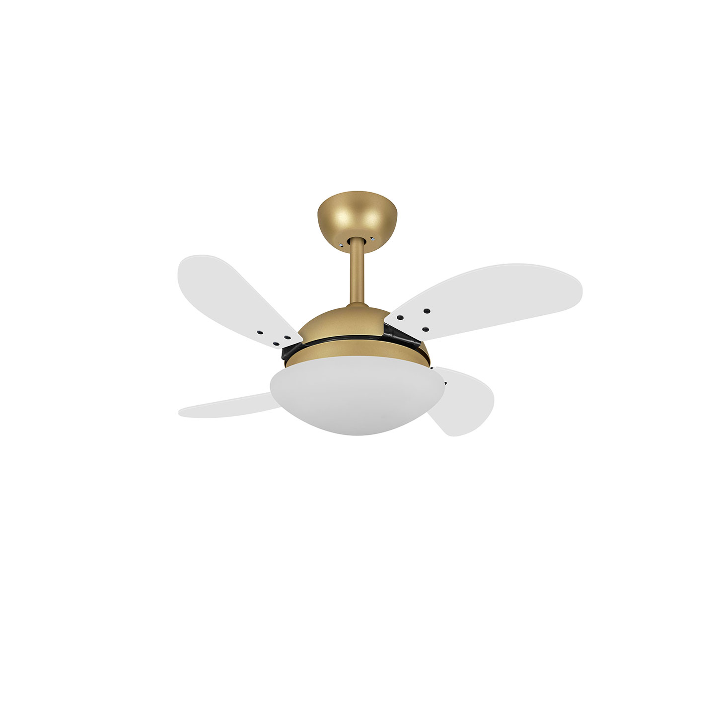 9043 VOLARE VD28 MINI FLY DOURADO MATE / LACA BRANCO
