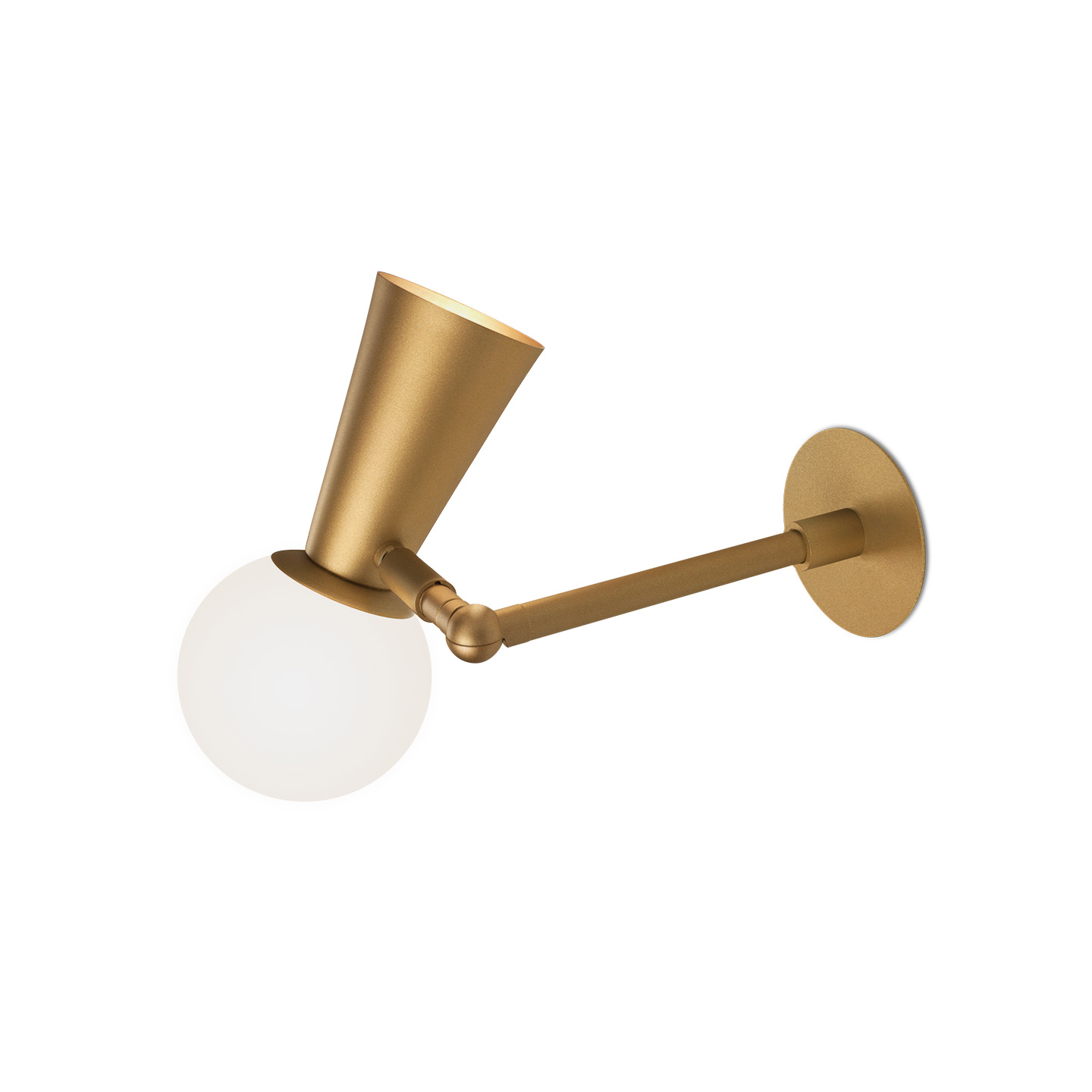 AR PION 1464 FULL CONTACT