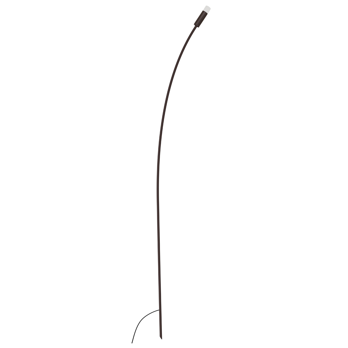 BL WAND 1437